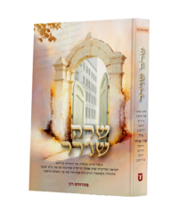 שרה שנירר